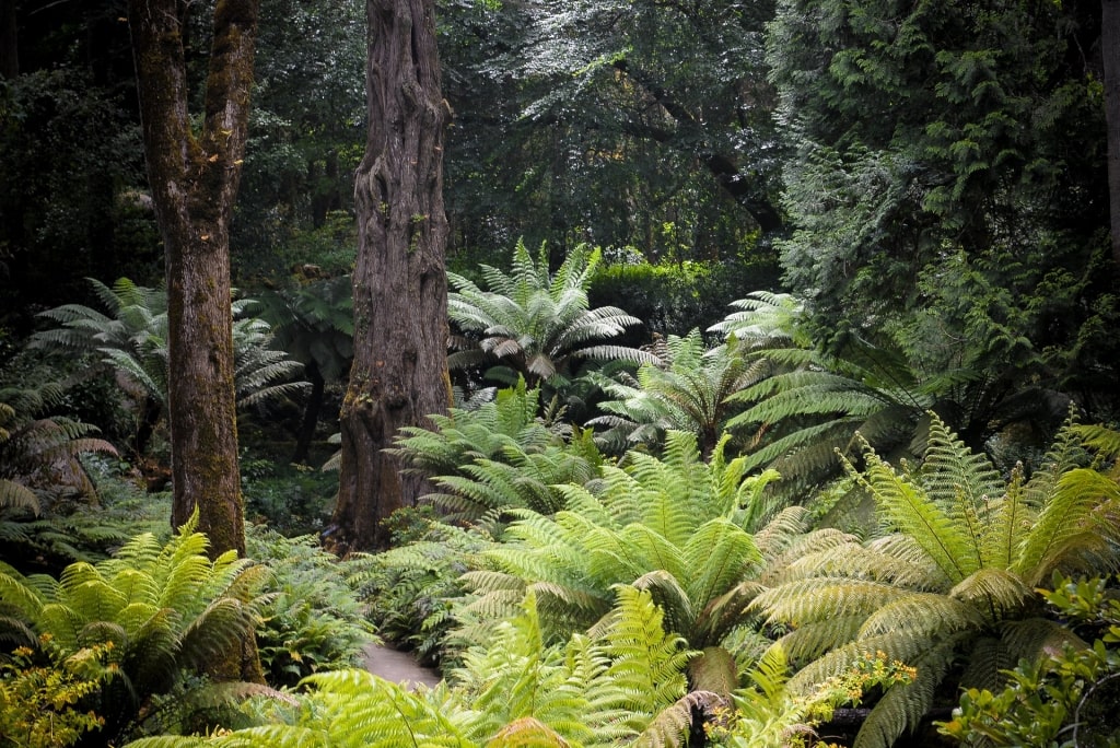 Lush landscape of Pena Aventura Park