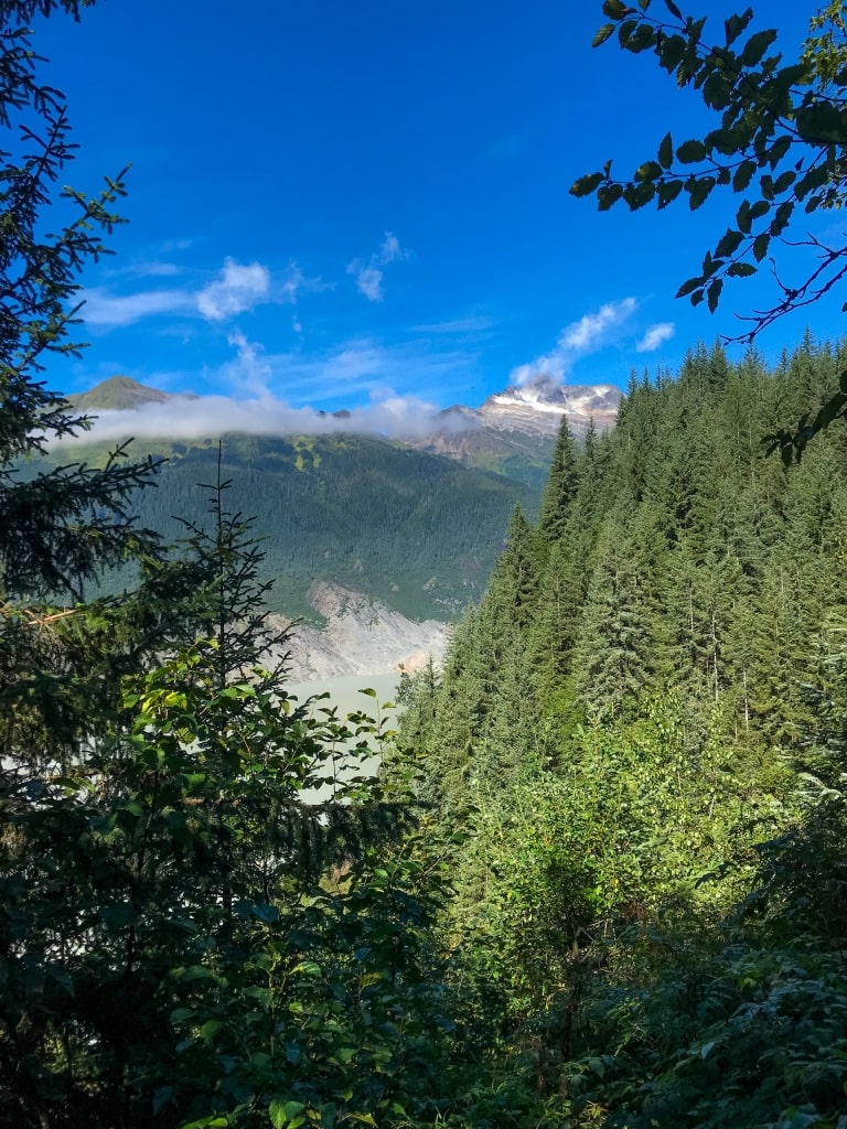 Tongass National Forest (Alpine Zipline Adventure), one of the best zip lines in the world