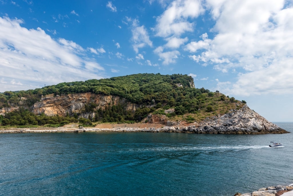 Lush island of Palmaria