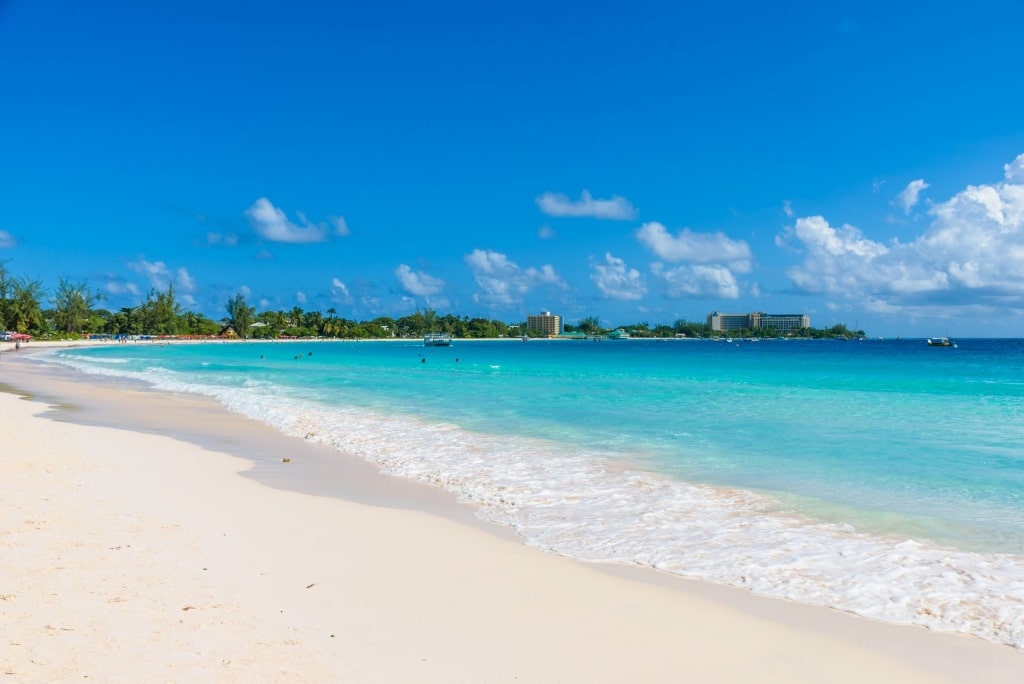 Pristine white sands of Carlisle Beach with clear blue waters