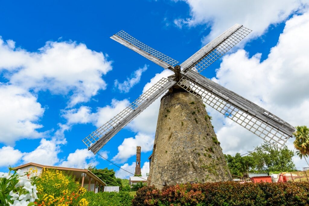 Popular site of Morgan Lewis Windmill