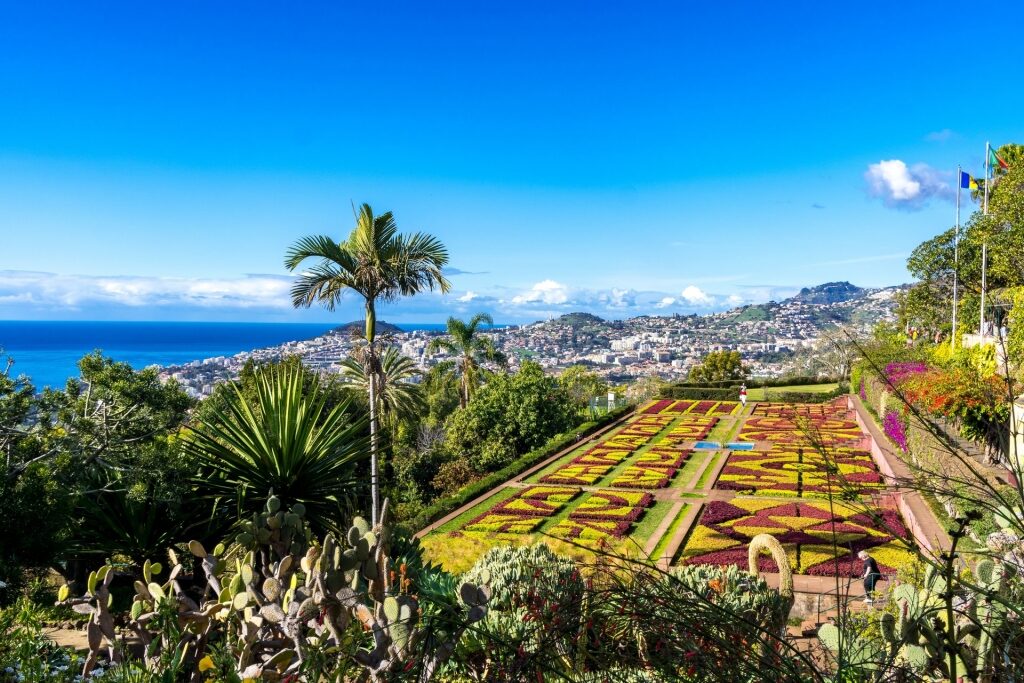 Colorful landscape of Madeira's Botanical Garden