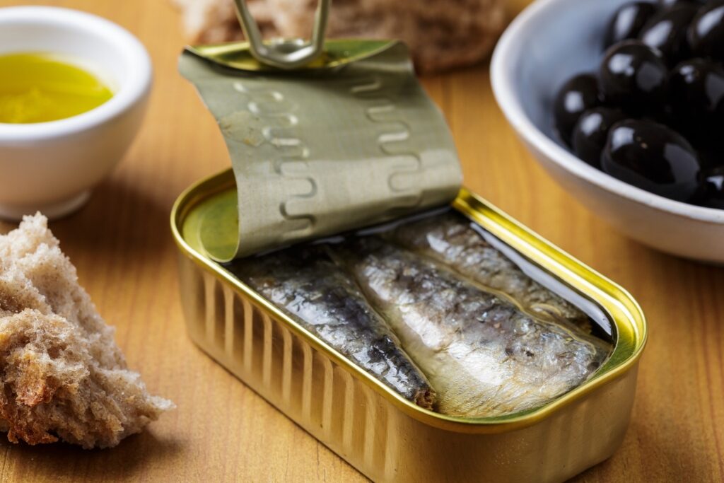 Sardines inside a tin can