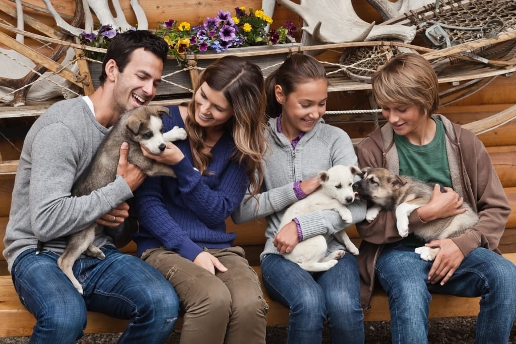 Family petting puppies in Alaska