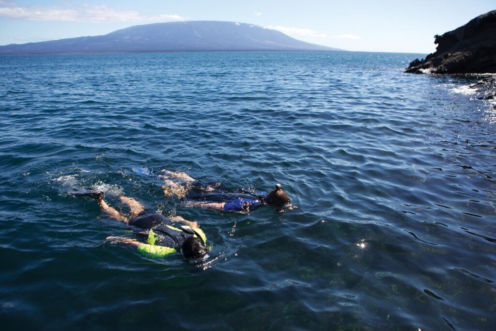 People snorkeling in the Galapagos