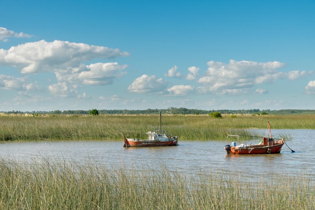 Small boats from the Santa Lucia Wetlands