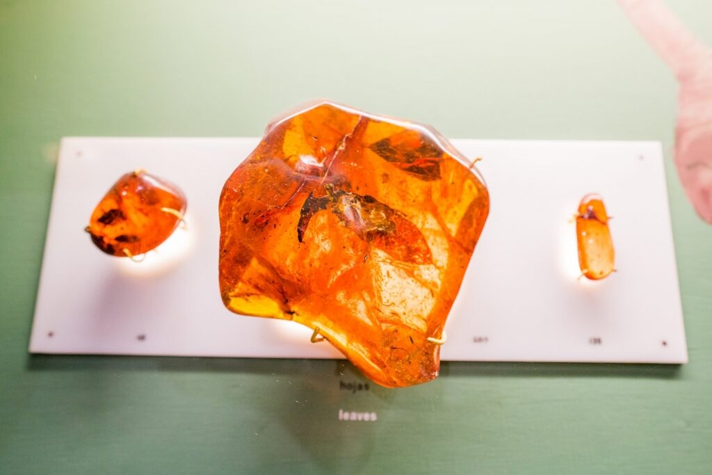 Beautiful amber in Amber Museum