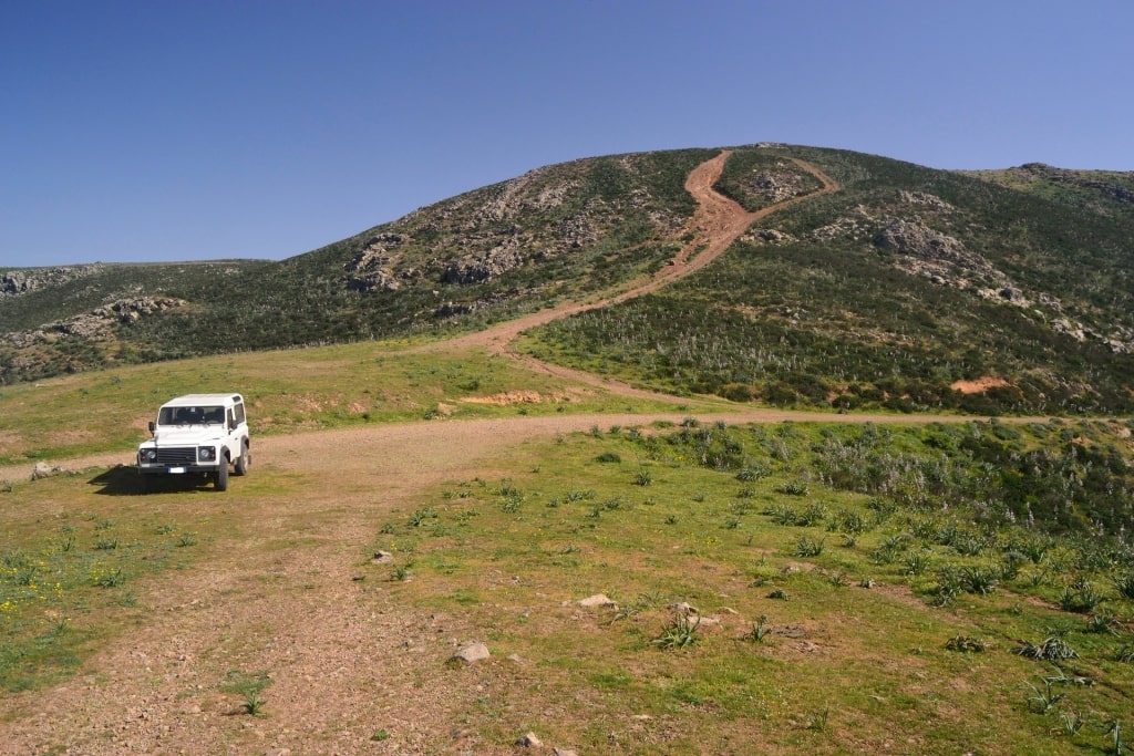 4x4 tour near Santa Gilla lagoon