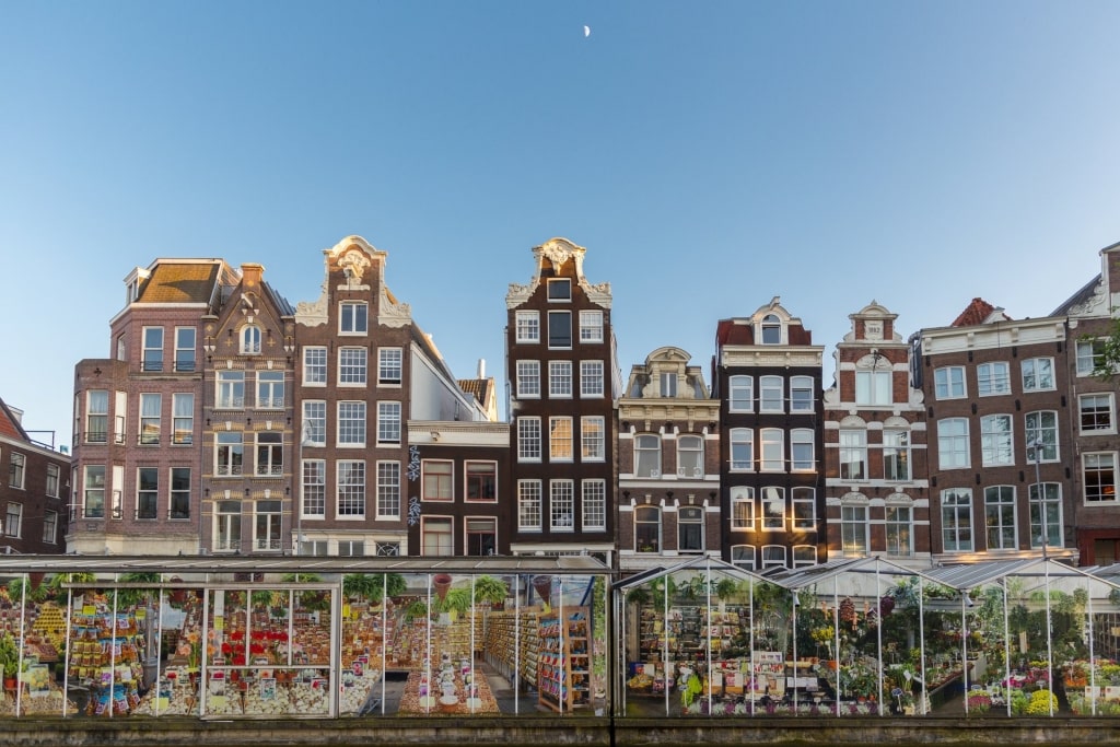 Flower Market in the Amsterdam Center