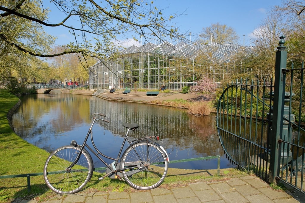 Lush landscape of Hortus Botanicus 