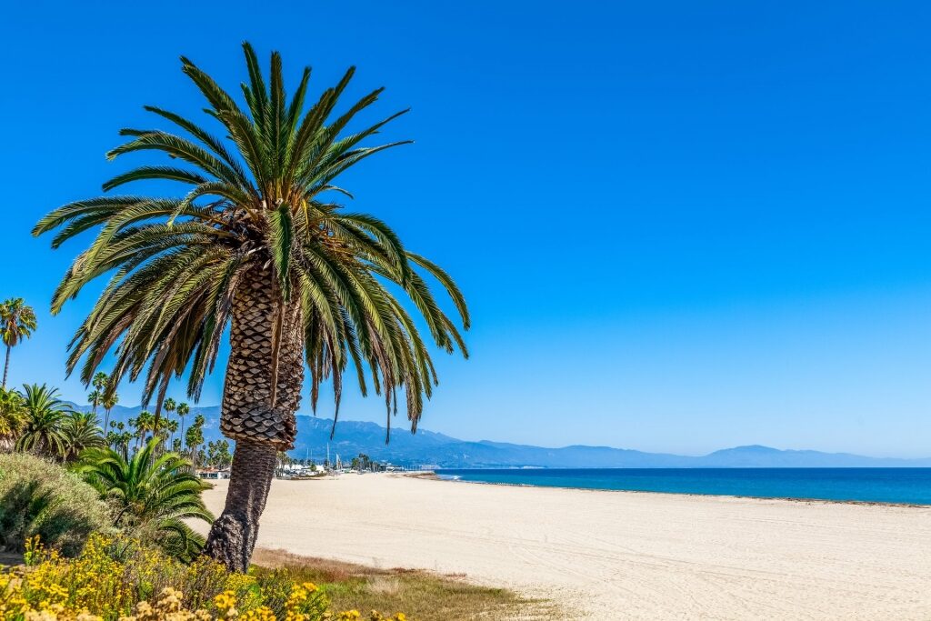 East Beach, one of the best beaches in Santa Barbara