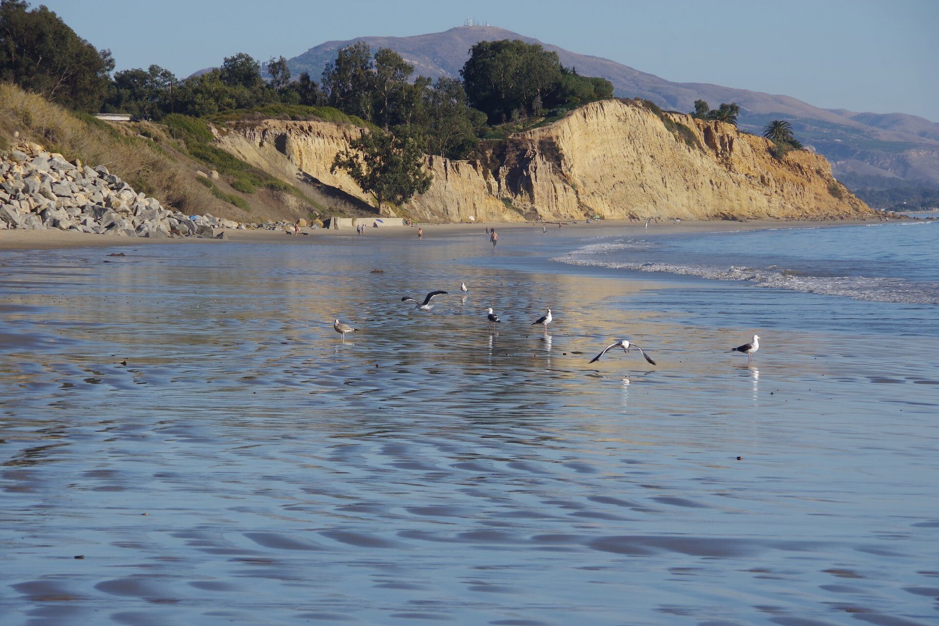 13 Best Beaches in Santa Barbara | Celebrity Cruises
