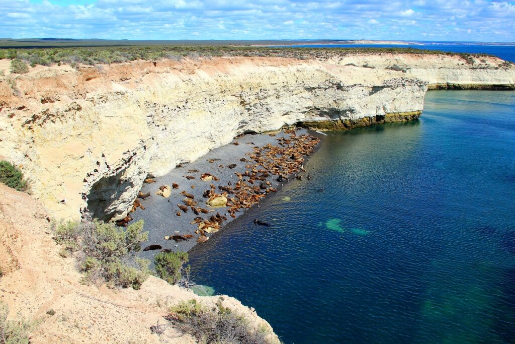 Cliffside view of Punta Loma with sea lions