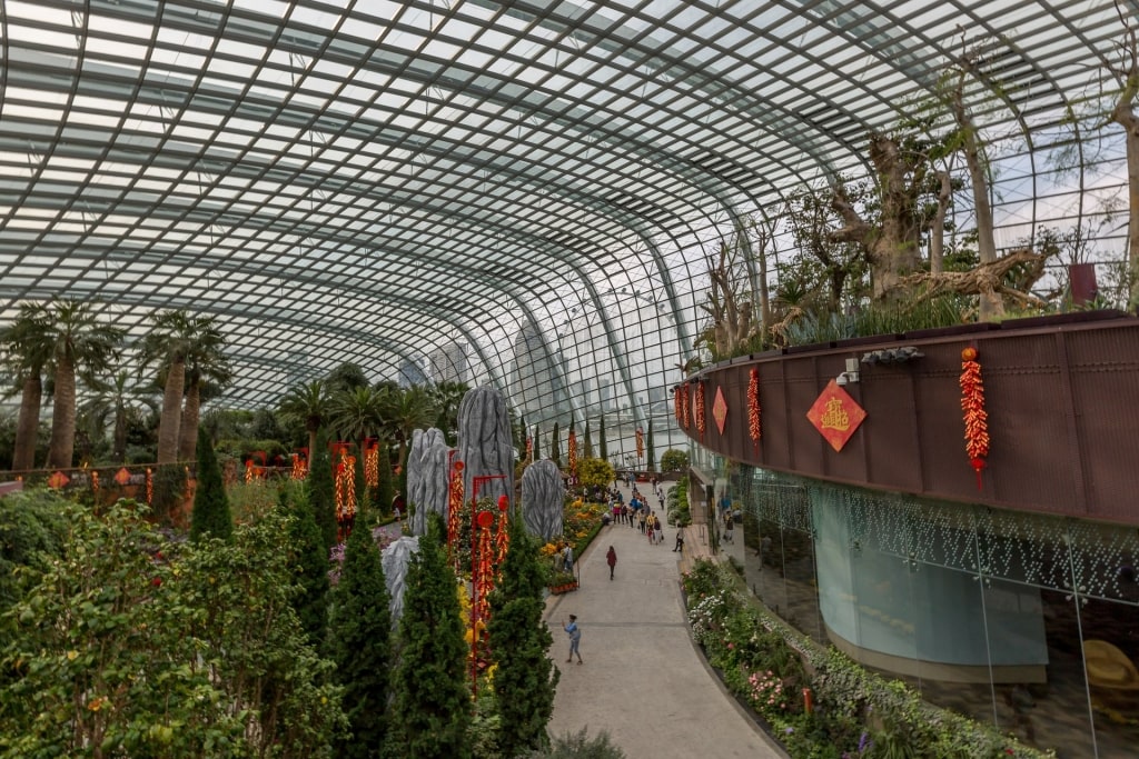 Inside the beautiful Cloud Forest in Gardens by the Bay