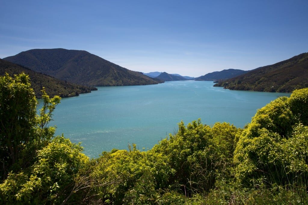 Picturesque view from Queen Charlotte Track