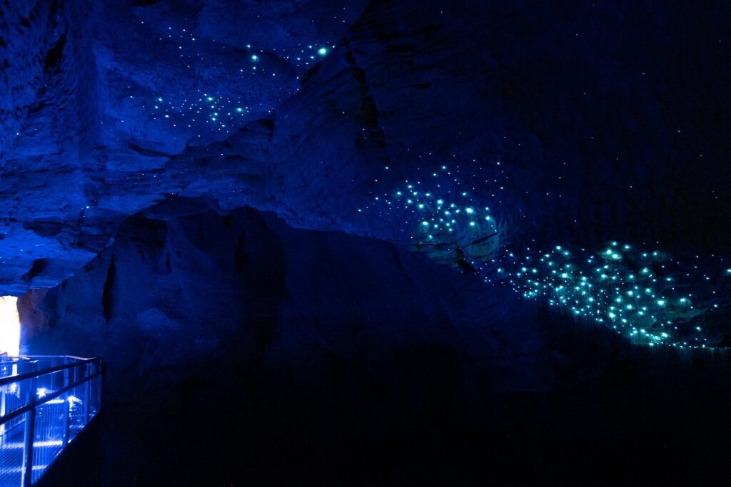 Beautiful rock formations and glowing blue light inside Ruakuri Cave with glow worms