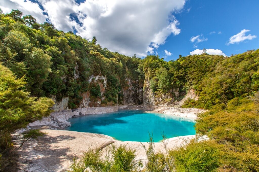 Waimangu, one of the most beautiful places in New Zealand