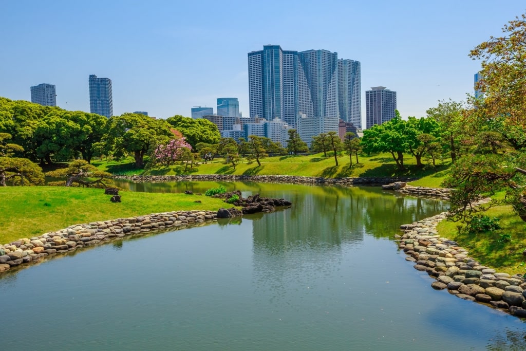 Lush landscape of Hama-rikyu Gardens