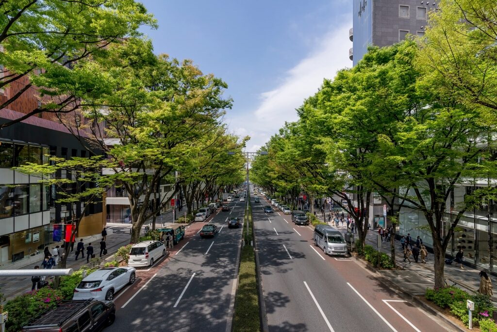 Omotesando, one of the most popular neighborhoods in Tokyo