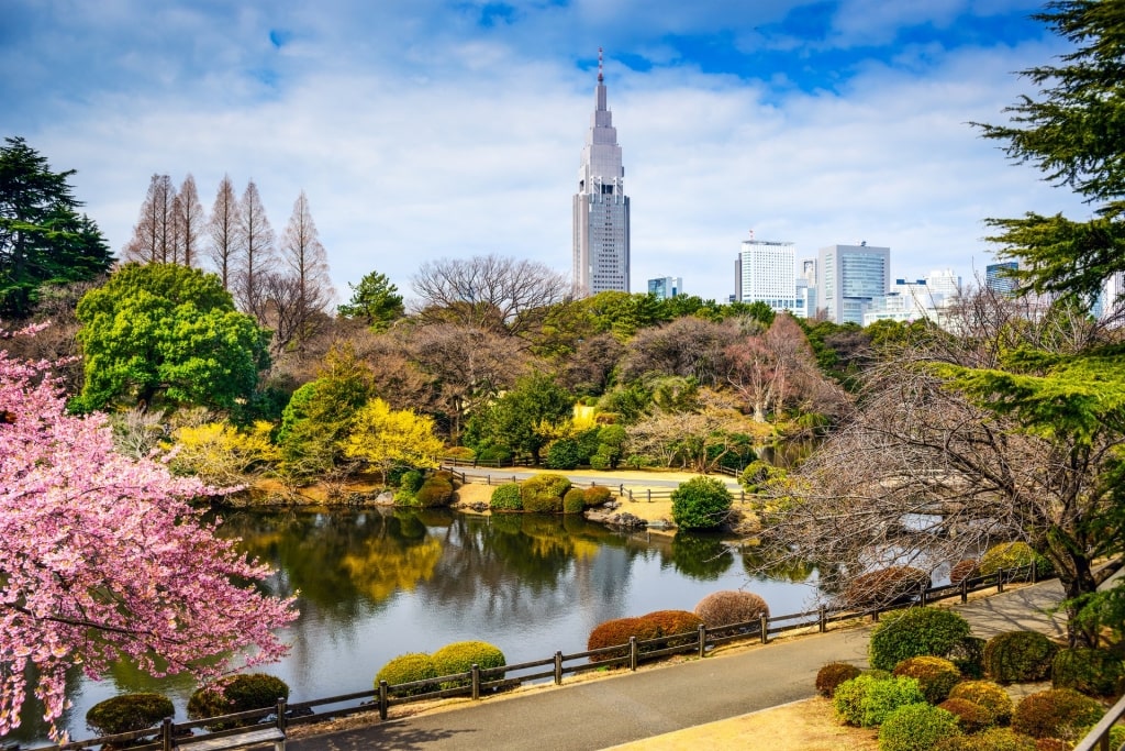 Lush landscape of Shinjuku Gyoen Park