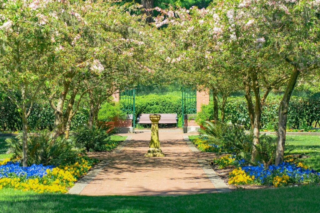 Lush Shakespeare’s Garden inside Golden Gate Park