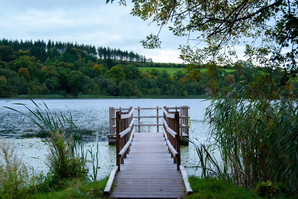 Wooden pathway leading to Blarney Lake