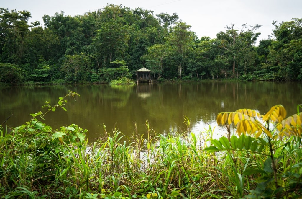 Lush landscape of Hacienda Campo Rico