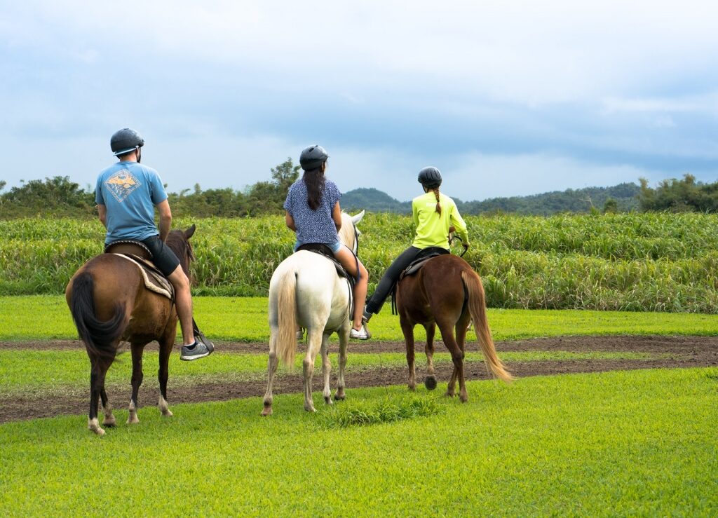 Horseback riding, one of the best things to do in Puerto Rico