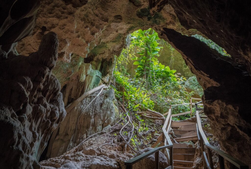 Limestone cave of Cueva Ventana, Puerto Rico