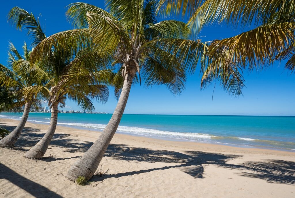 Calm water of Isla Verde Beach with palm trees