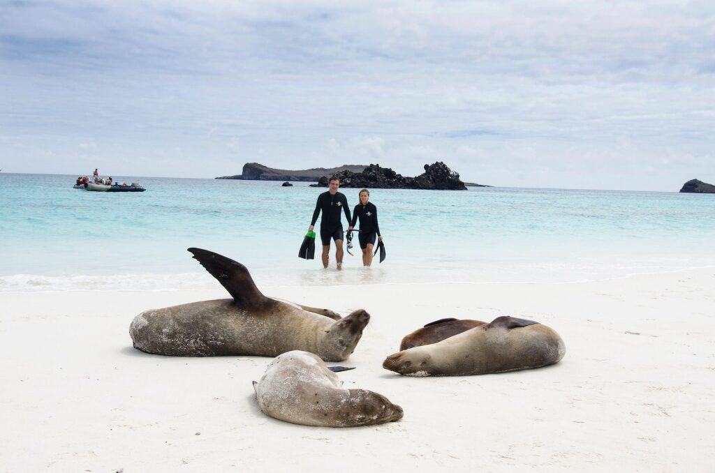 Couple snorkeling in the Galapagos