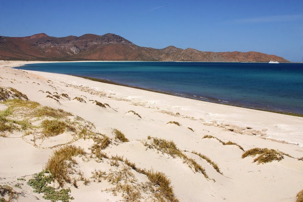 White sands of Isla Espiritu Santo