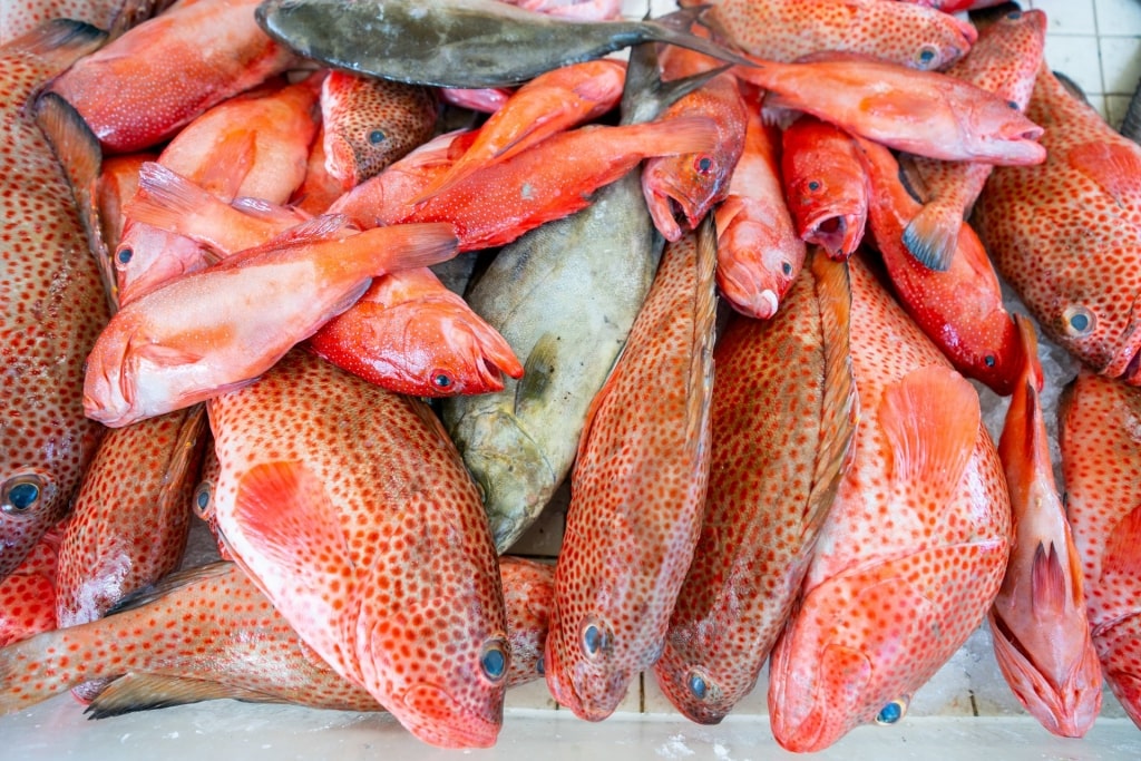 Fresh fish at a market in the Caribbean