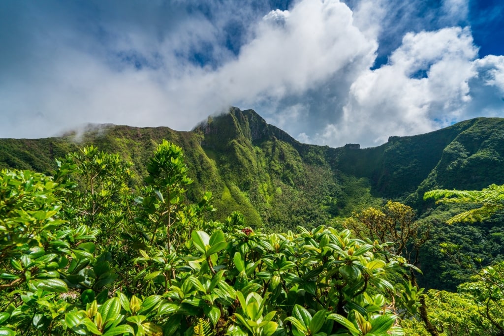 Lush landscape of Mount Liamuiga