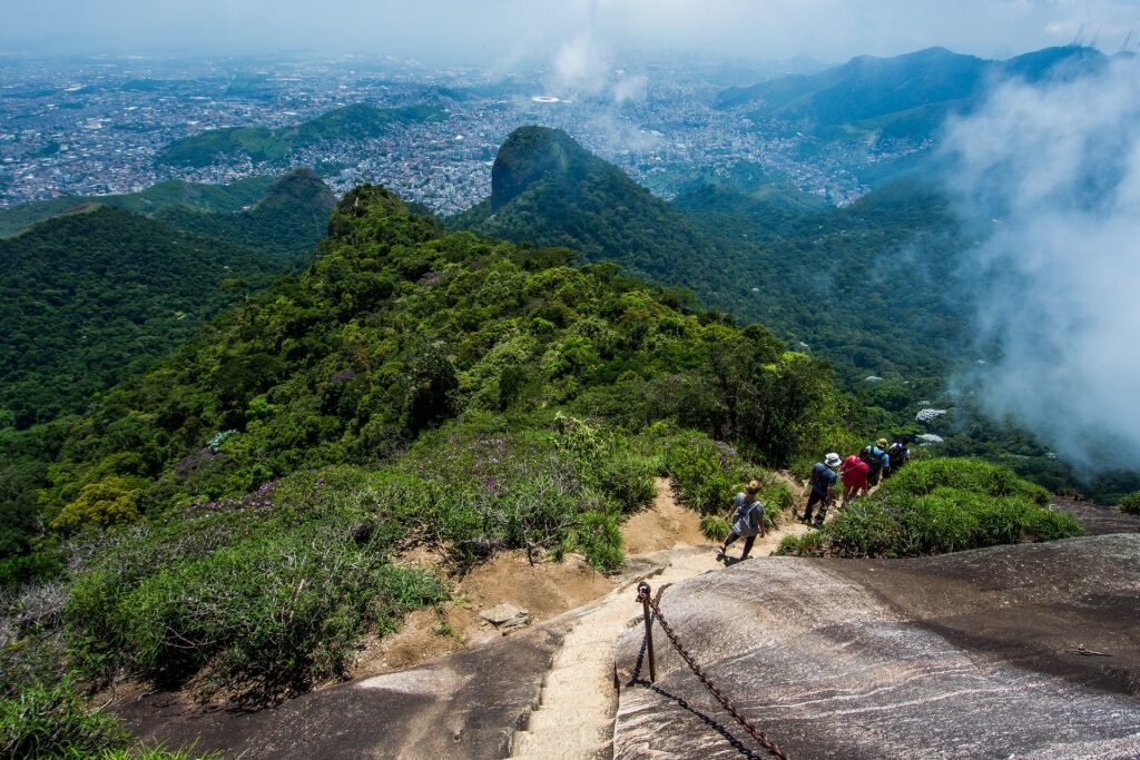 Lush landscape of Tijuca National Park with trail