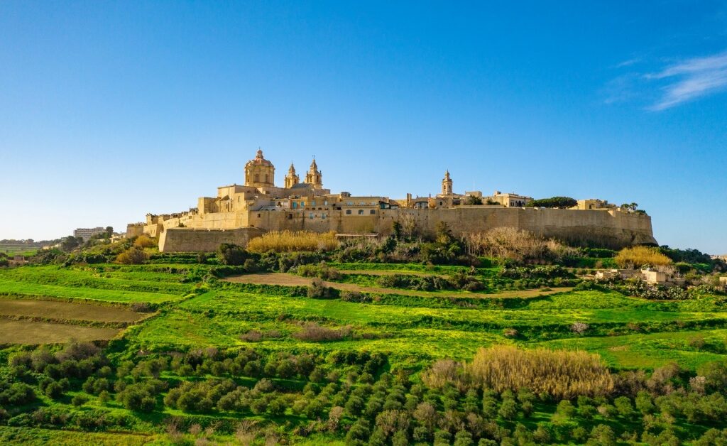 Honey-colored buildings in Mdina