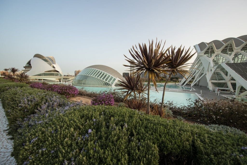 Stunning architecture of the City of Arts and Sciences