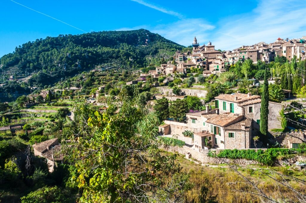 Lush landscape of Valldemossa, Mallorca