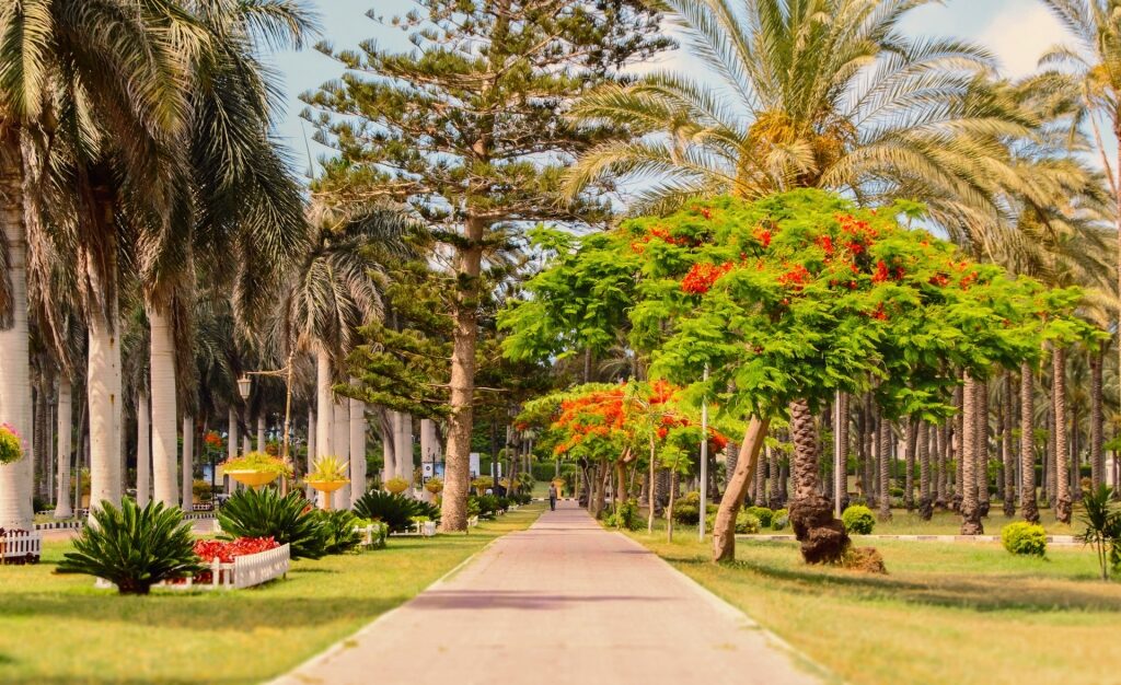 Lush garden of Montazah Palace Gardens