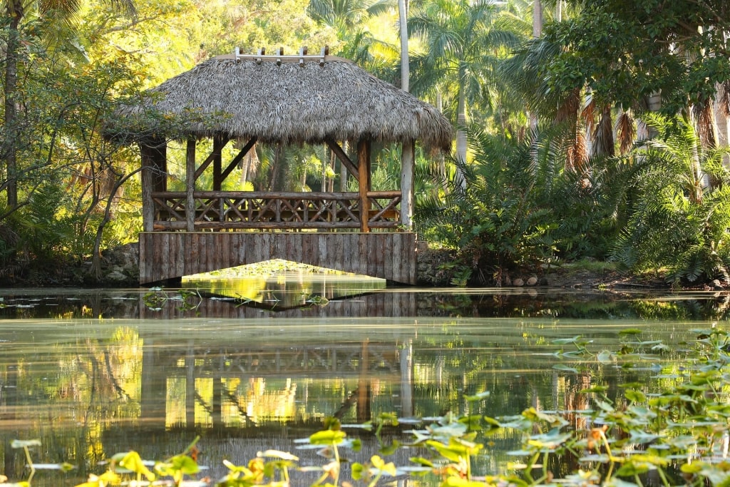 Lush landscape of Bonnet House Museum and Gardens