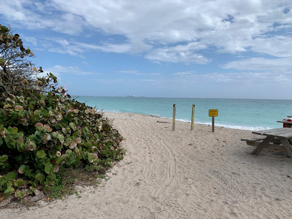 Beach in Dr. Von D. Mizell-Eula Johnson State Park