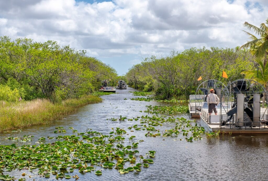 Airboat tour in Everglades