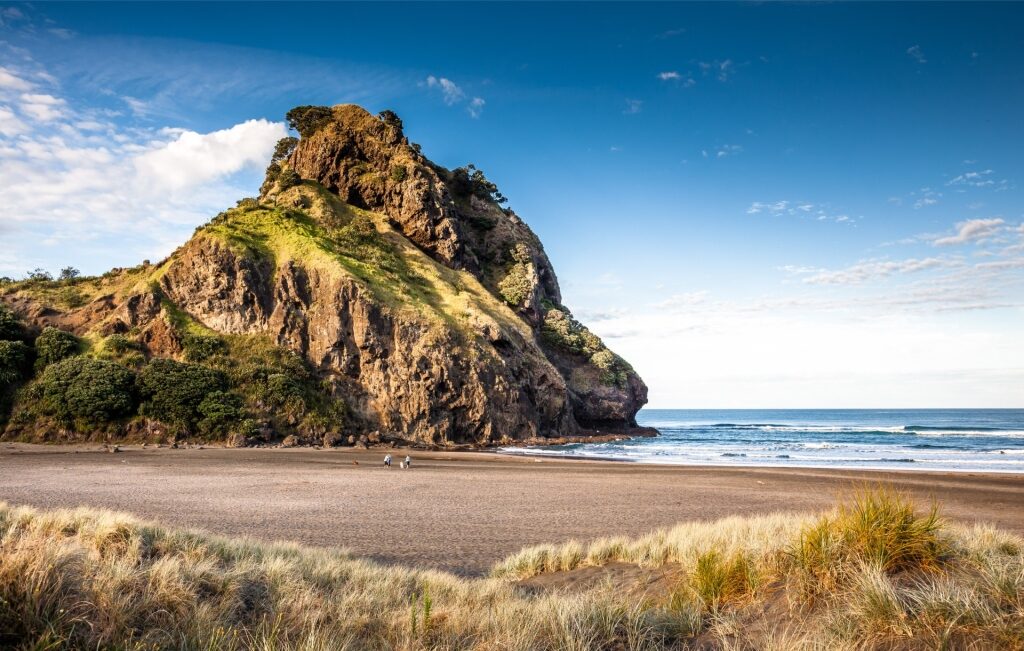 Beautiful landscape of Piha Beach, New Zealand