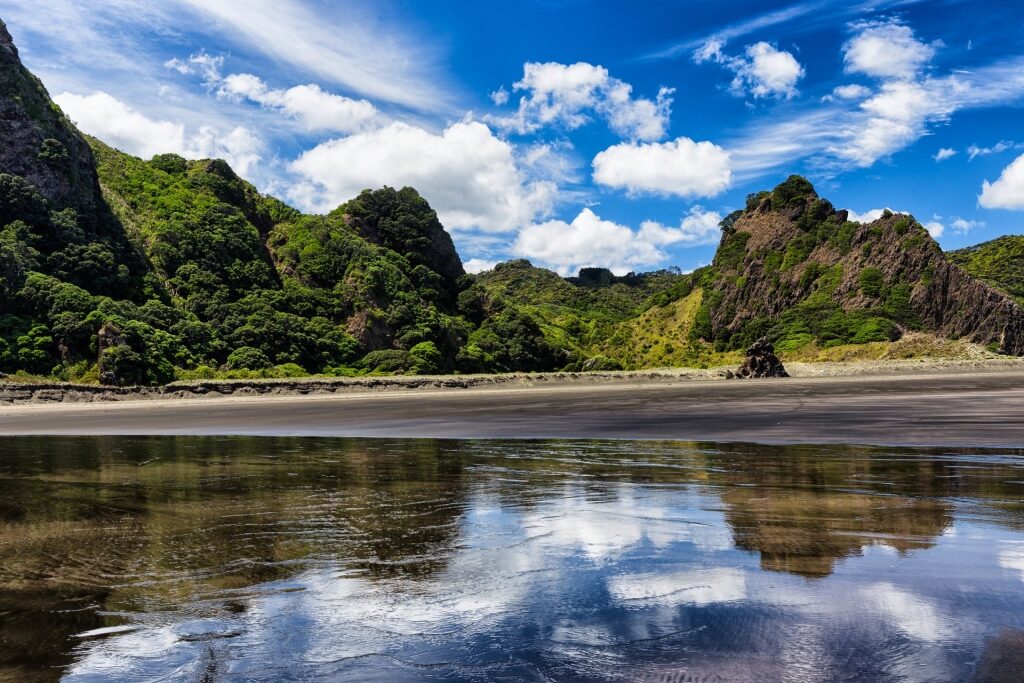 View of Karekare Beach on a sunny day