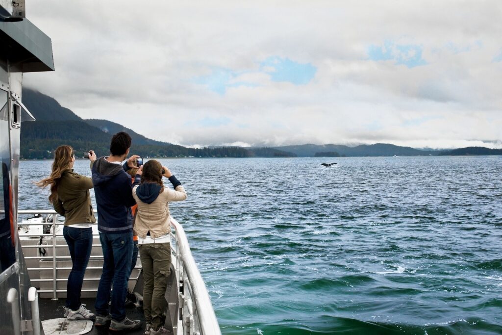 Family whale watching in Alaska
