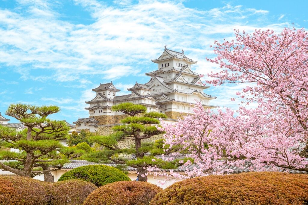 Gorgeous facade of Himeji Castle in spring