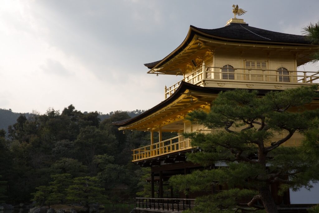 Lush landscape of Golden Pavilion in Kyoto