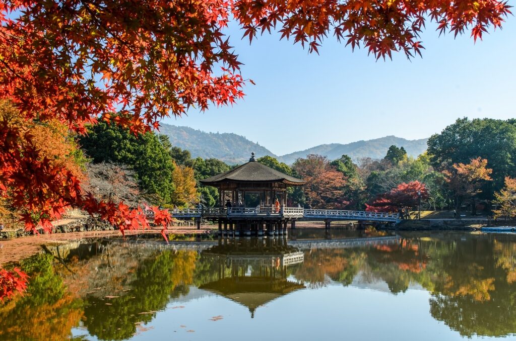 View of Nara Park in Autumn with calm waters