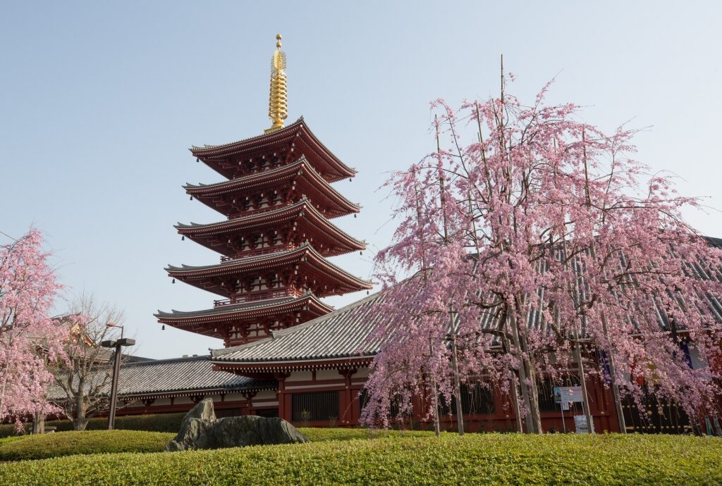 View of Sensō-ji temple with iconic pagoda
