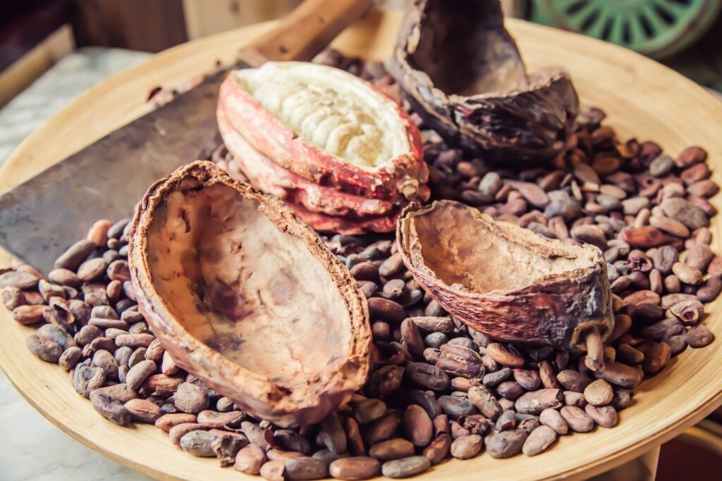 Cacao on a table